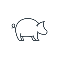 Line drawing of a simplified, stylized pig.